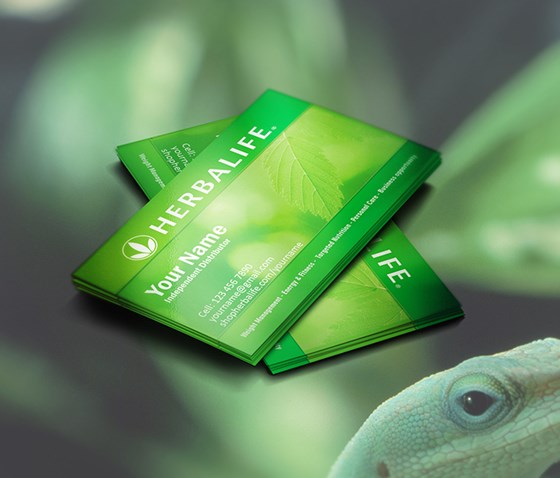 Business Cards: Business Cards Zone Portfoio